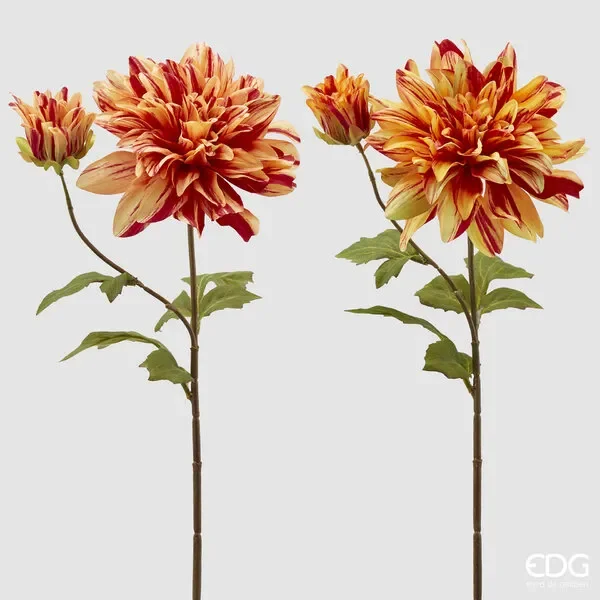 EDG Enzo De Gasperi Dalia Rex H 70 Cm Giallo Arancione 1 Pz