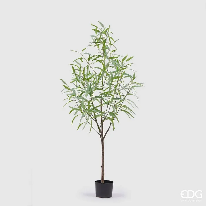 EDG Enzo De Gasperi Eucalipto con Vaso Artificiale H 170 Cm Light Green