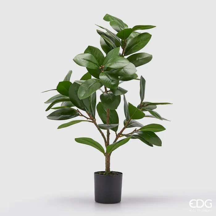 EDG Enzo De Gasperi Ficus con Vaso Artificiale H 64 Cm Green