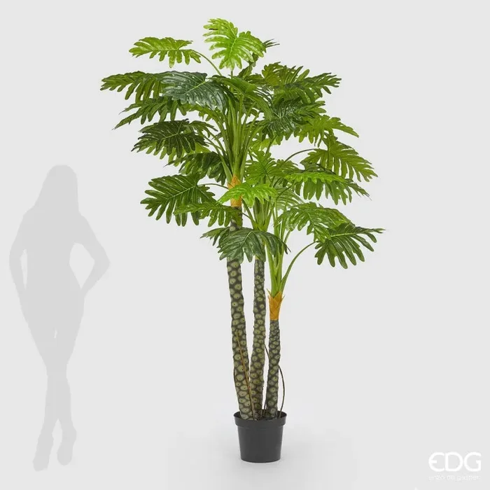 EDG Enzo De Gasperi Filodendro con Vaso Artificiale H 240 Cm Green - immagine 2