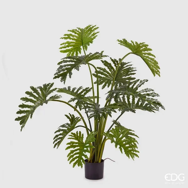 EDG Enzo De Gasperi Filodendro Con Vaso H.135 C4 Green