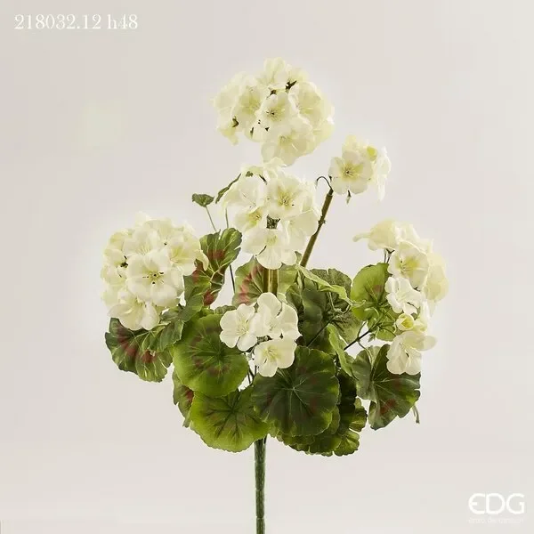 EDG Enzo De Gasperi Geranio Cespuglio x7 H48 B7 Ivory