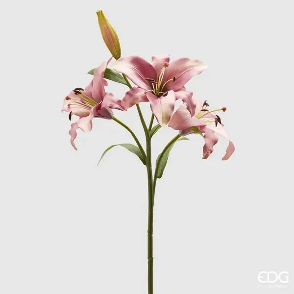 EDG Enzo De Gasperi Giglio Rex 3 Rami H 105 Cm Mauve