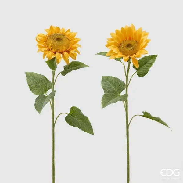 EDG Enzo De Gasperi Girasole Rex H 60 Cm Giallo