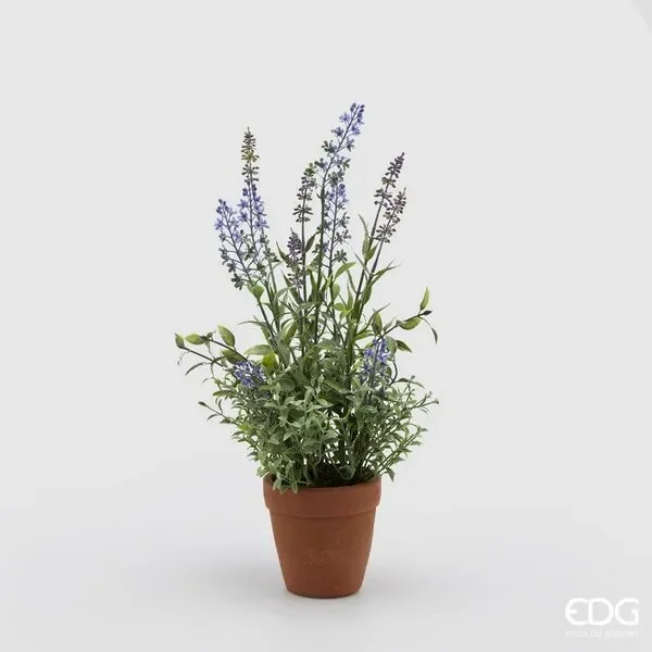 EDG Enzo De Gasperi Lavanda West con Vasocotto H 43 Cm Lavender Vendita online