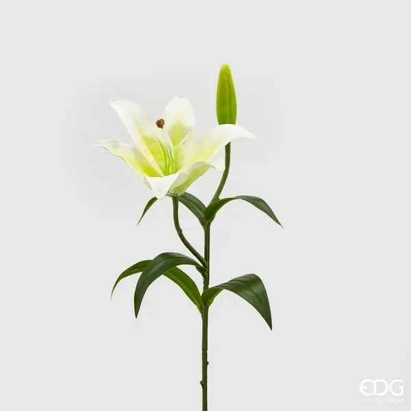 EDG Enzo De Gasperi Lilium Chic Ramo H 36 Cm Bianco Giallo Sconti