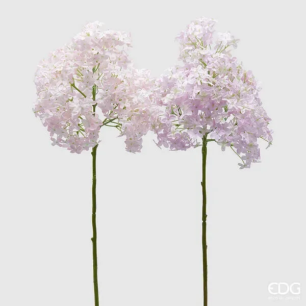 EDG Enzo De Gasperi Lillà Ramo H 95 Cm Rosa e Rosa chiaro 2 Pz Saldi