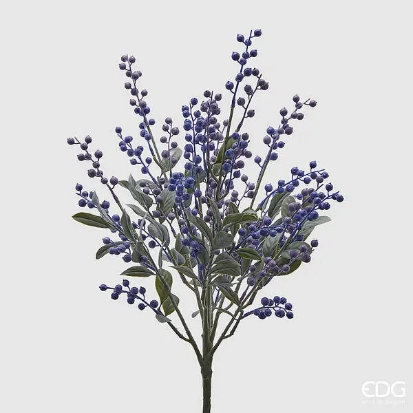 EDG Enzo De Gasperi Mirtillo Cespuglio H 48 Cm Colore Violet Vendita calda online