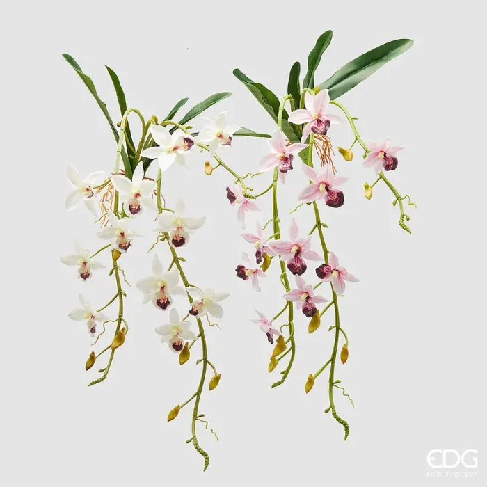 EDG Enzo De Gasperi Orchidea Dendrobium Cadente Artificiale H 82 Cm con Foglie Ass. White Pink 1 Pz
