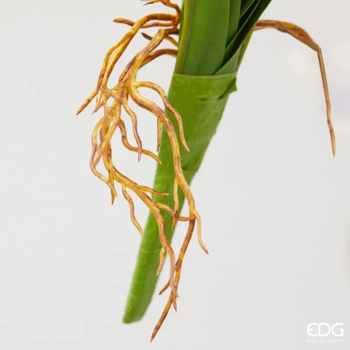 EDG Enzo De Gasperi Orchidea Dendrobium Cadente Artificiale H 82 Cm con Foglie Ass. White Pink 1 Pz - immagine 2