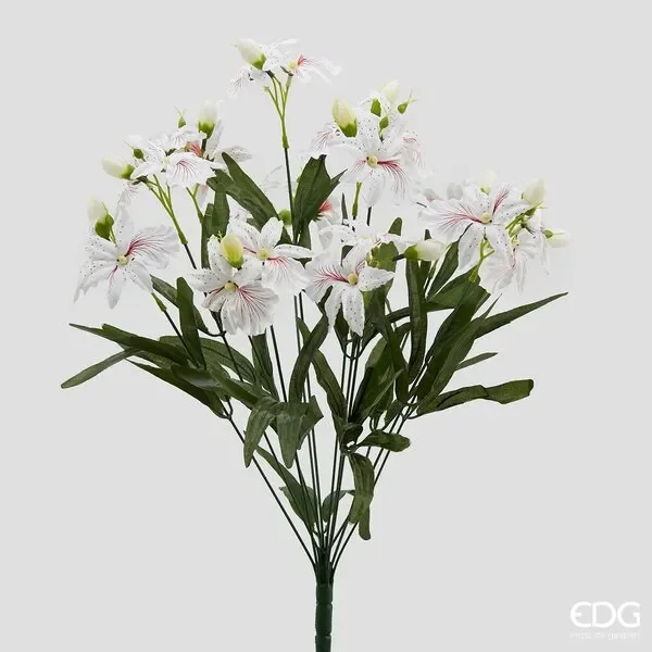 EDG Enzo De Gasperi Orchidea Elis Bouquet 12 Rami H 55 Cm Bianca