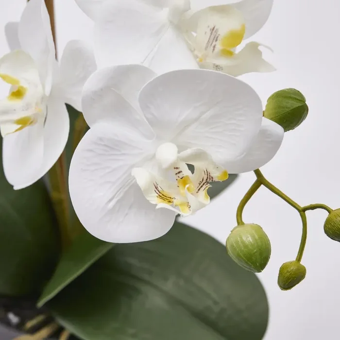 EDG Enzo De Gasperi Orchidea Phalaenopsis con Vaso Ramo x2 Artificiale H 53 Cm White - immagine 2