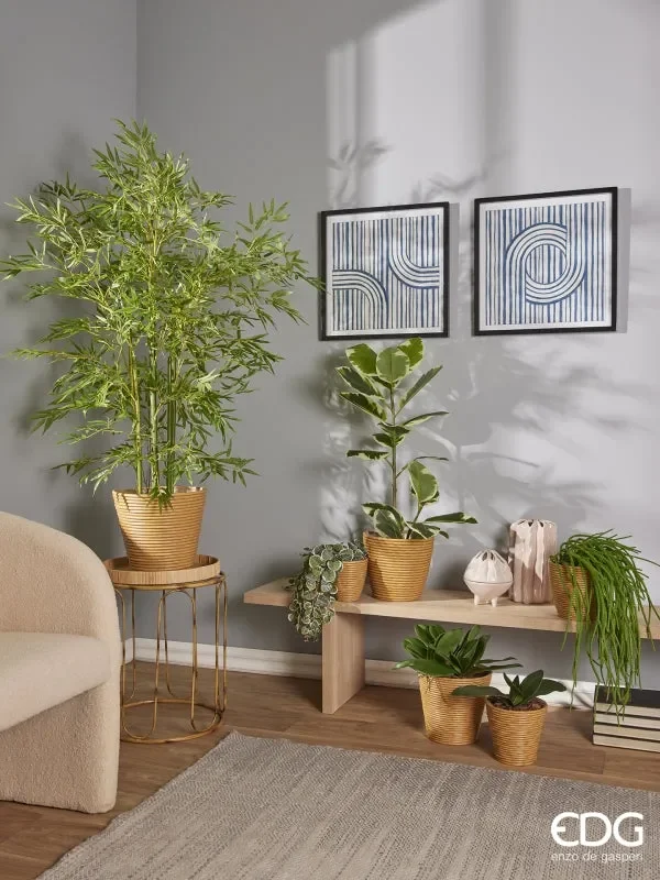 EDG Enzo De Gasperi Orchidea Phalaenopsis Foglia Olis x6 con Radice Artificiale H 27 Cm Green - immagine 3