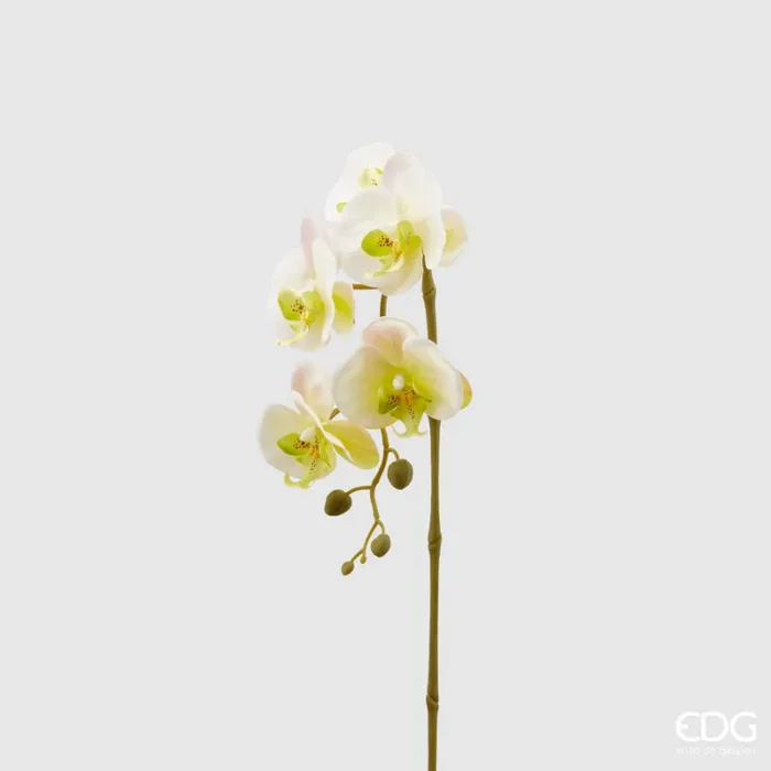 EDG Enzo De Gasperi Orchidea Phalaenopsis Olis Ramo 3D x5 Artificiale H 70 Cm White Yellow