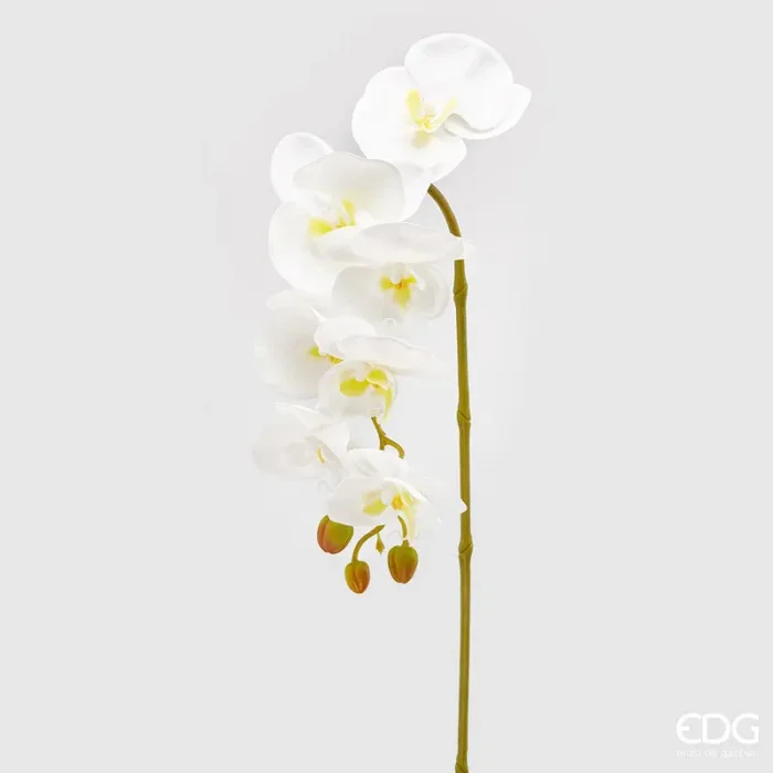 EDG Enzo De Gasperi Orchidea Phalaenopsis Olis Ramo 3D x7 Artificiale H 85 Cm White