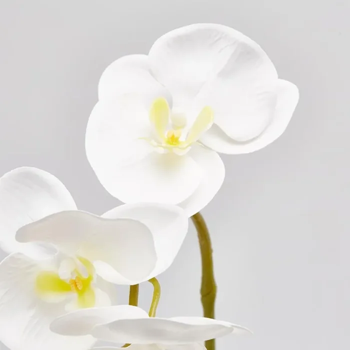 EDG Enzo De Gasperi Orchidea Phalaenopsis Olis Ramo 3D x7 Artificiale H 85 Cm White - immagine 2