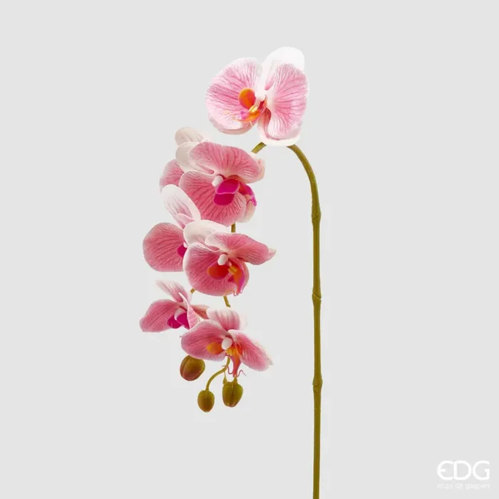 EDG Enzo De Gasperi Orchidea Phalaenopsis Olis Ramo 3D x7 Artificiale H 85 Cm White Pink