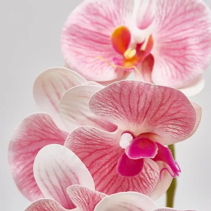 EDG Enzo De Gasperi Orchidea Phalaenopsis Olis Ramo 3D x7 Artificiale H 85 Cm White Pink - immagine 2