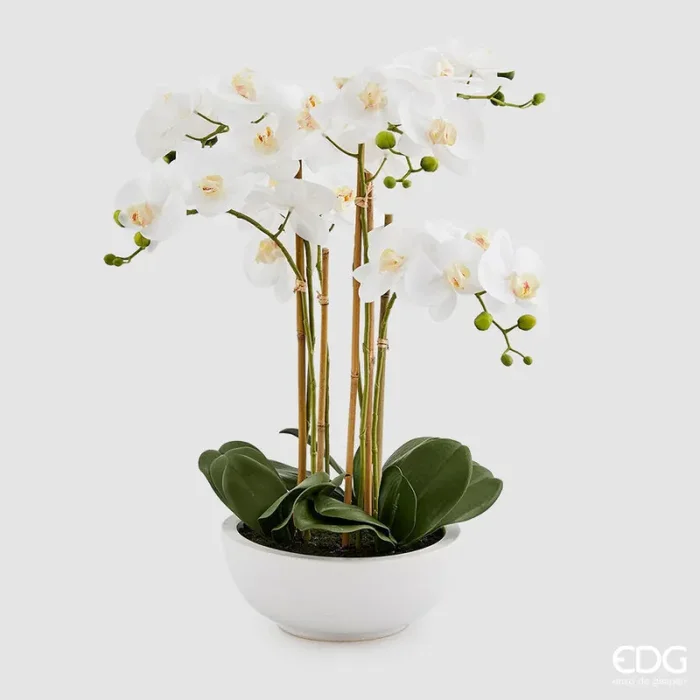 EDG Enzo De Gasperi Orchidea Phalaenopsis Pianta x6 con Vaso Artificiale H 64 Cm White
