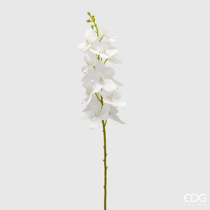 EDG Enzo De Gasperi Orchidea Vanda Ramo Artificiale H 70 Cm White