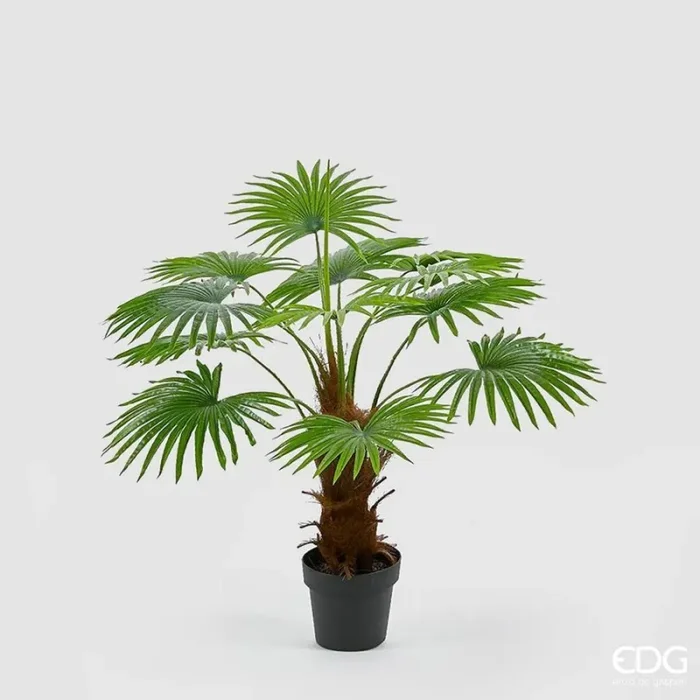 EDG Enzo De Gasperi Palma Cameruys con Vaso Artificiale H 100 Cm Green Moda