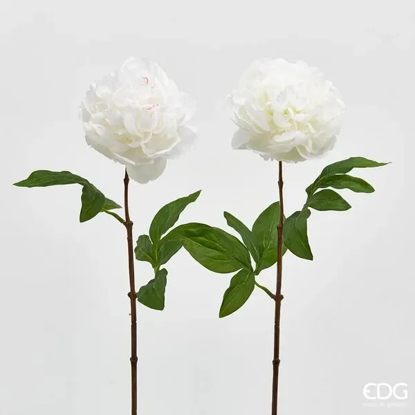 EDG Enzo De Gasperi Peonia Olis Ramo H 65 Cm 1 Pz Bianco Moda