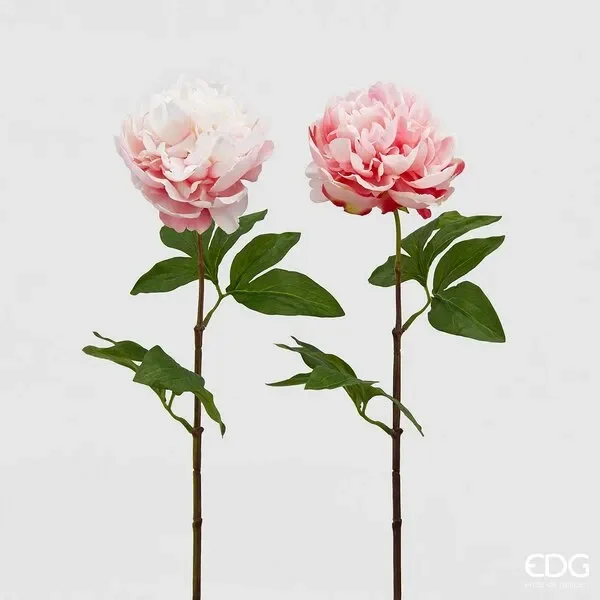 EDG Enzo De Gasperi Peonia Olis Ramo H 65 Cm Rosa Chiaro o Rosa Scuro 1Pz