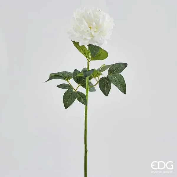 EDG Enzo De Gasperi Peonia Real Ramo H72 B7 White