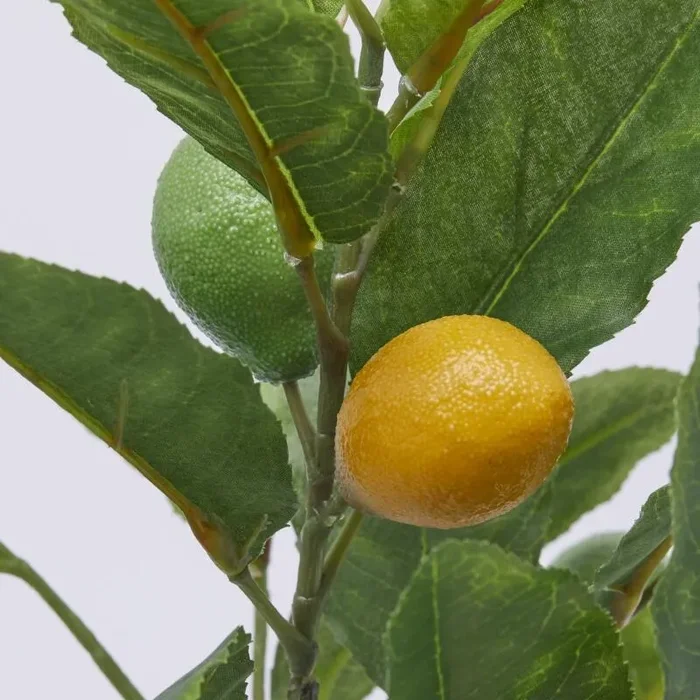 EDG Enzo De Gasperi Pianta Artificiale di Limoni con Vaso H 48 Cm Green Mix - immagine 2