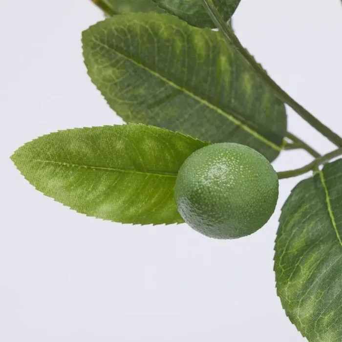 EDG Enzo De Gasperi Pianta Artificiale di Limoni con Vaso H 48 Cm Green Mix - immagine 3