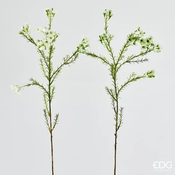 EDG Enzo De Gasperi Piombaggine Ramo H 67 Cm Bianco 1 Pz