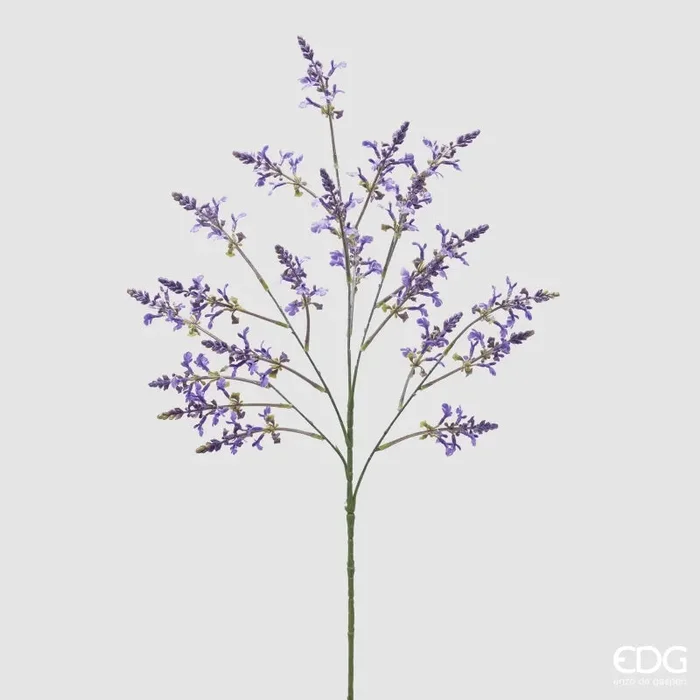 EDG Enzo De Gasperi Ramo Lavanda H 80 Lavender