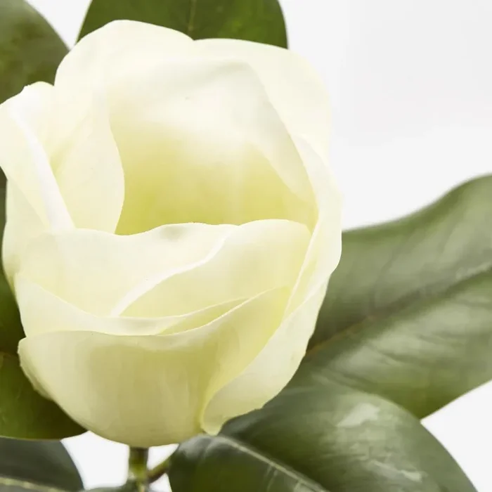 EDG Enzo De Gasperi Ramo Magnolia Real Fiore e Foglie Artificiale H 69 Cm White Green - immagine 2