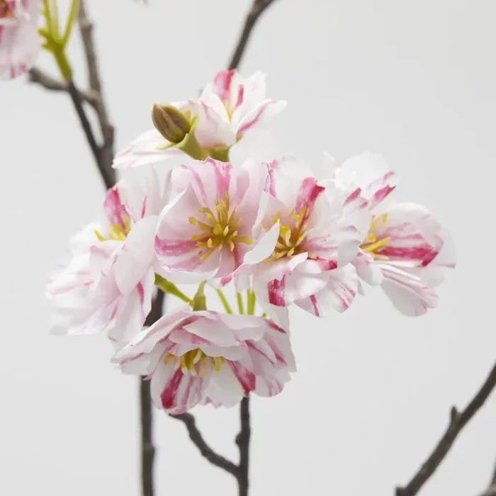 EDG Enzo De Gasperi Ramo Sakura Fiori di Ciliegio Artificiale H 110 Cm White Pink - immagine 2