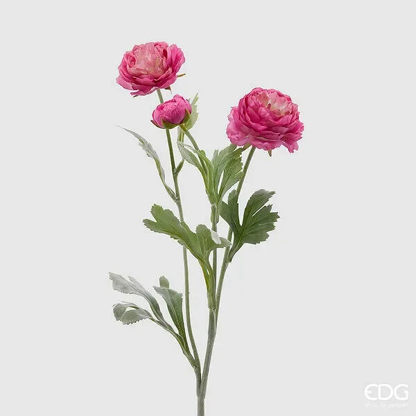 EDG Enzo De Gasperi Ranuncolo 3 Rami con Foglie H 50 Cm Colore Rosa Scuro
