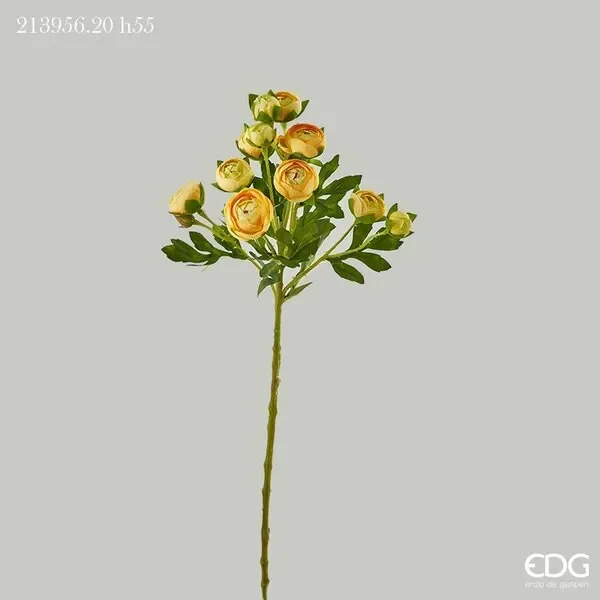 EDG Enzo De Gasperi Ranuncolo Chic H 55 Cm Giallo 1 Pz
