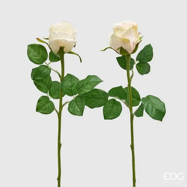 EDG Enzo De Gasperi Rosa Boccioli H 51 Cm Avorio 1 Pz