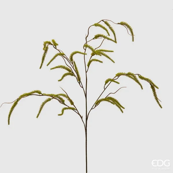 EDG Enzo De Gasperi Salice Ramo L 114 Cm Verde