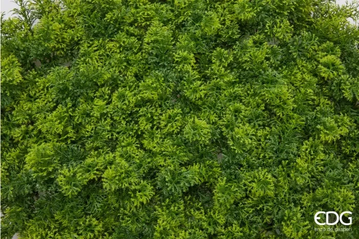 EDG Enzo De Gasperi Siepe Muschio a Ciuffi L. 50 Cm L. 50 Cm Green Anti-UV Plastica Fornitura - immagine 2