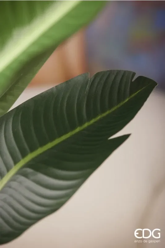 EDG Enzo De Gasperi Strelitzia Chic con Vaso Artificiale H 245 Cm Green - immagine 3