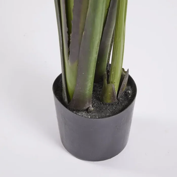 EDG Enzo De Gasperi Strelizia con Vaso Artificiale H 185 Cm Colore Verde - immagine 3