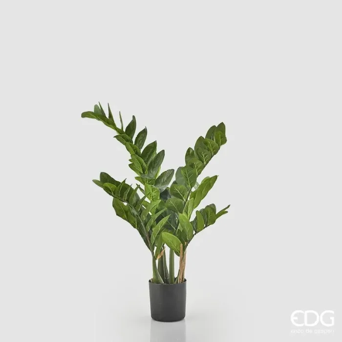 EDG Enzo De Gasperi Zamifolia 7 Rami con Vaso H 70 Cm Green