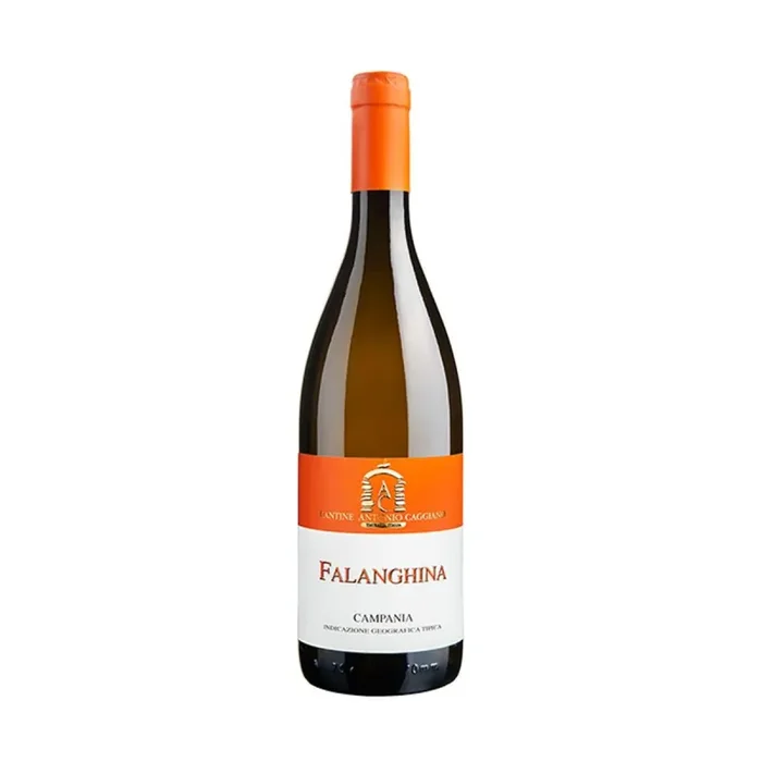 Falanghina ‘Campania IGT’ 2023 – Cantine Caggiano