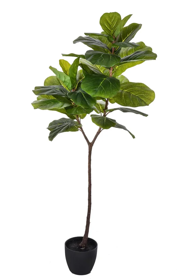 Ficus Lyrata Artificiale in Vaso con 34 Foglie Altezza 150 cm Verde Vendita calda