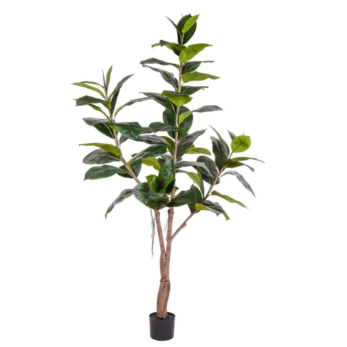 Ficus Rubber Artificiale con 65 Foglie Altezza 180 cm