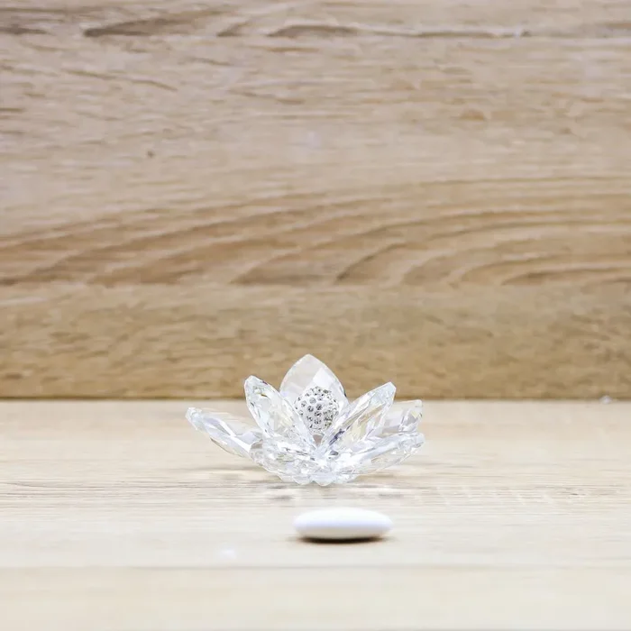 Fiore Cristallo Debora Carlucci In saldo