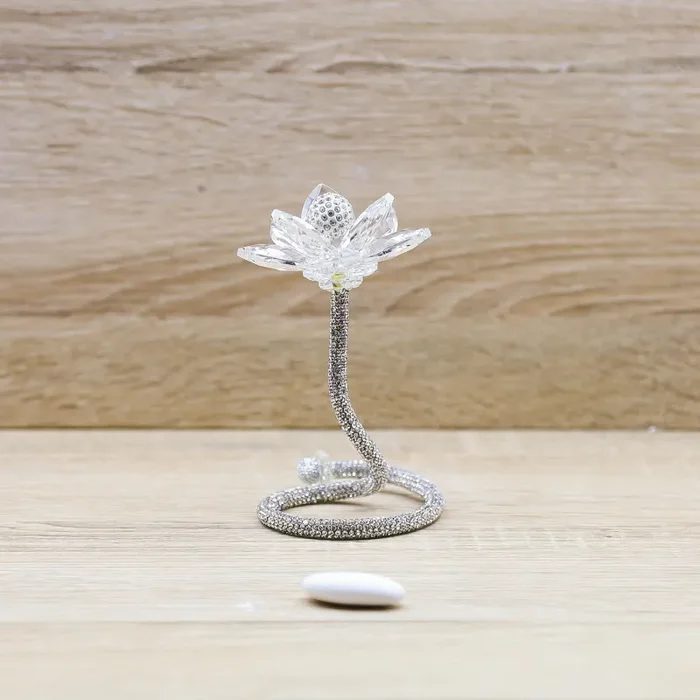 Fiore Grande Cristallo Debora Carlucci Online ora