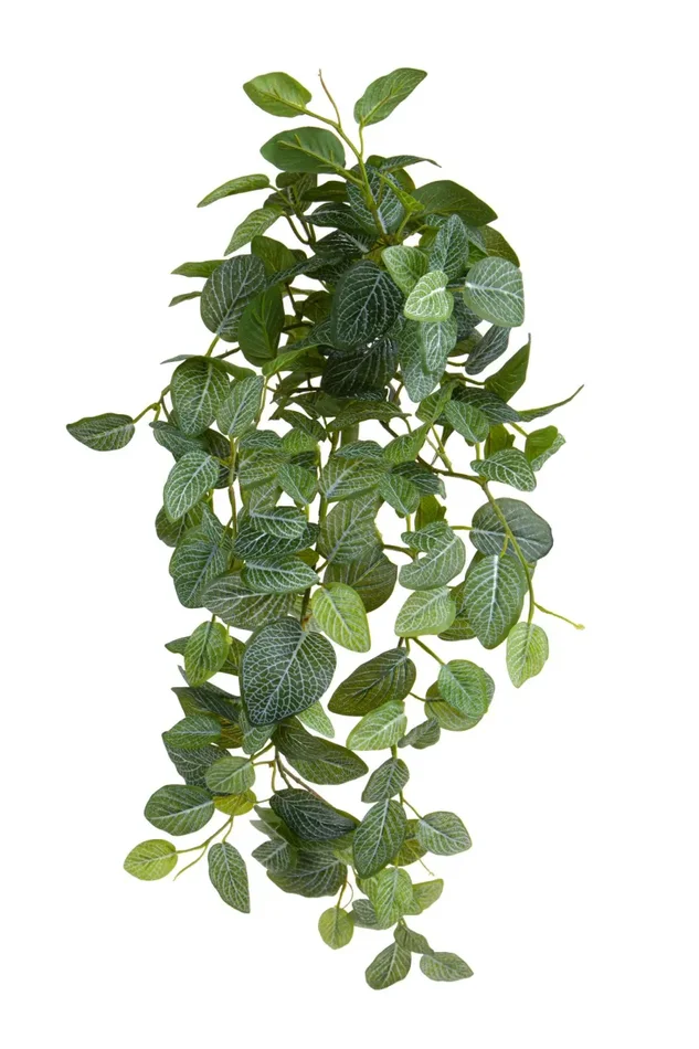 Fittonia Artificiale Cespuglio x 9 con 170 Foglie H.74 cm Verde Vendita calda online