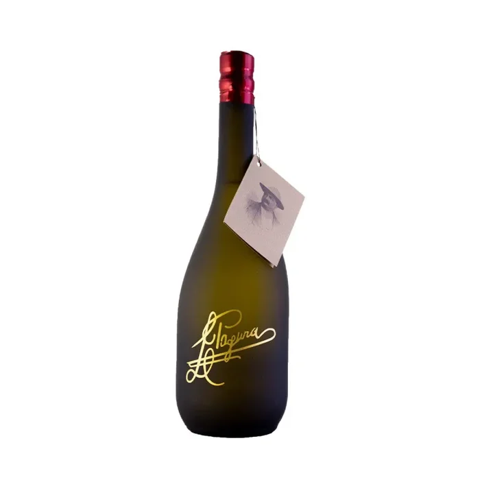 Grappa Di Refosco e Cabernet – Distilleria Pagura In saldo