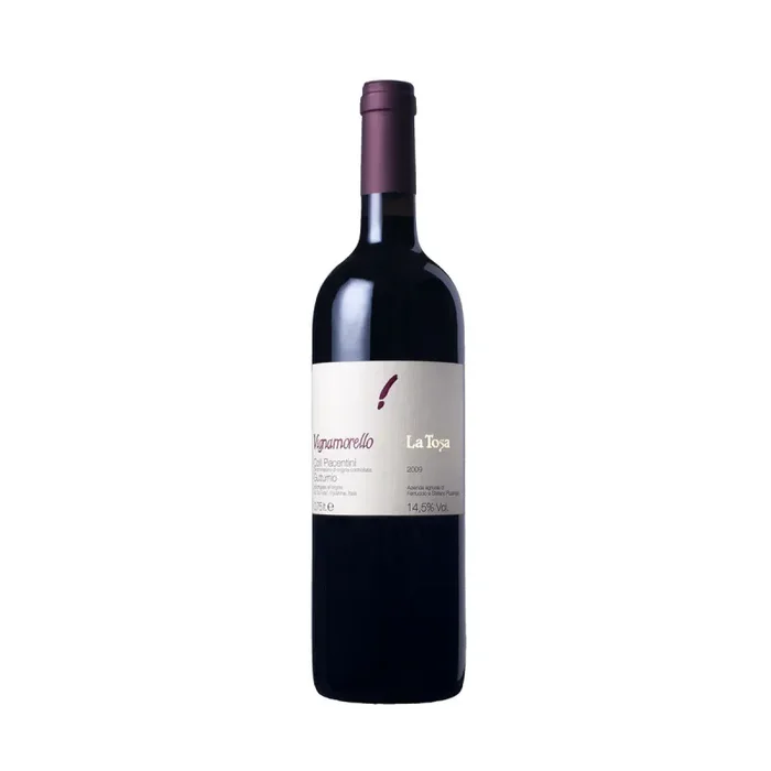 Gutturnio Superiore ‘Vignamorello’ 2023 – La Tosa